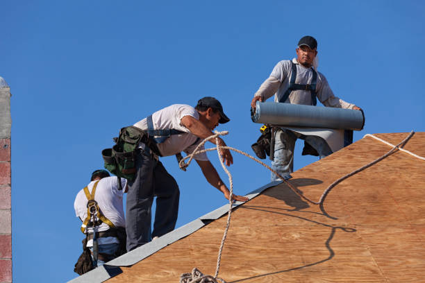 Best Roof Gutter Cleaning  in Saranac Lake, NY